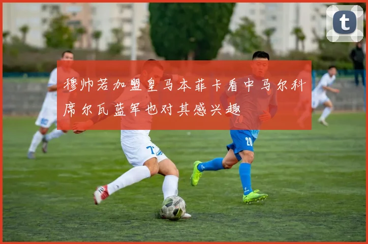 穆帅若加盟皇马本菲卡看中马尔科席尔瓦蓝军也对其感兴趣