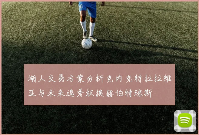 湖人交易方案分析克内克特拉拉维亚与未来选秀权换赫伯特琼斯